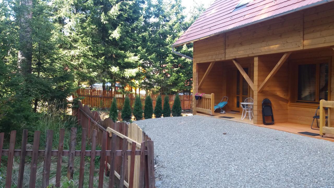 Sintimbru-Bai Mofetta Panzio B&B 외부 사진
